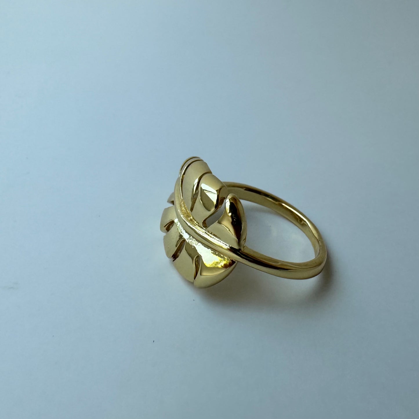 Palm Ring