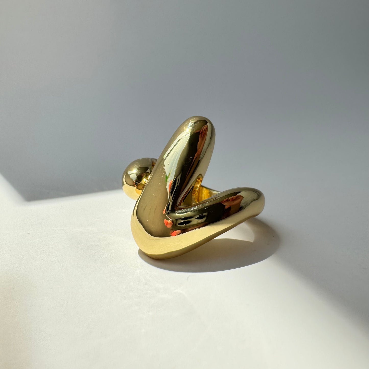Roy Ring