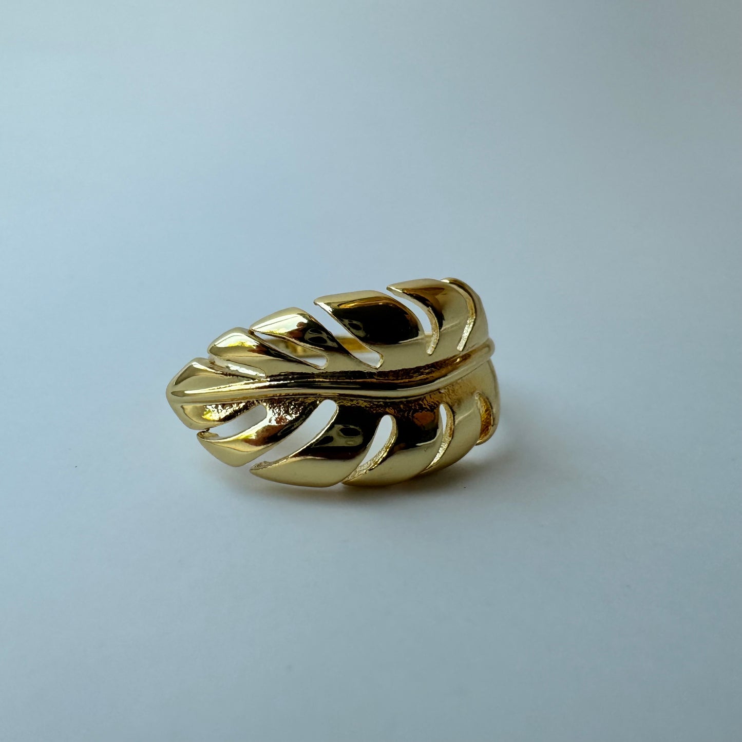Palm Ring