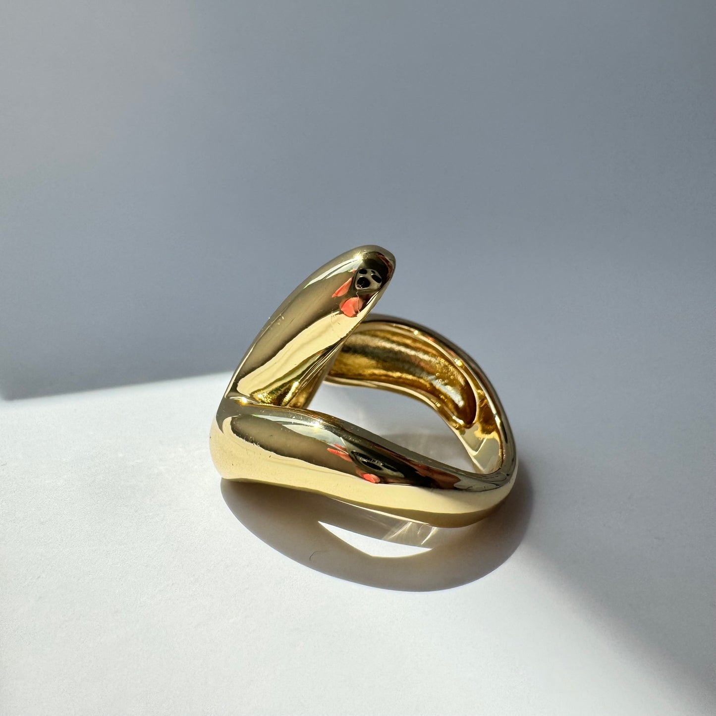 Roy Ring