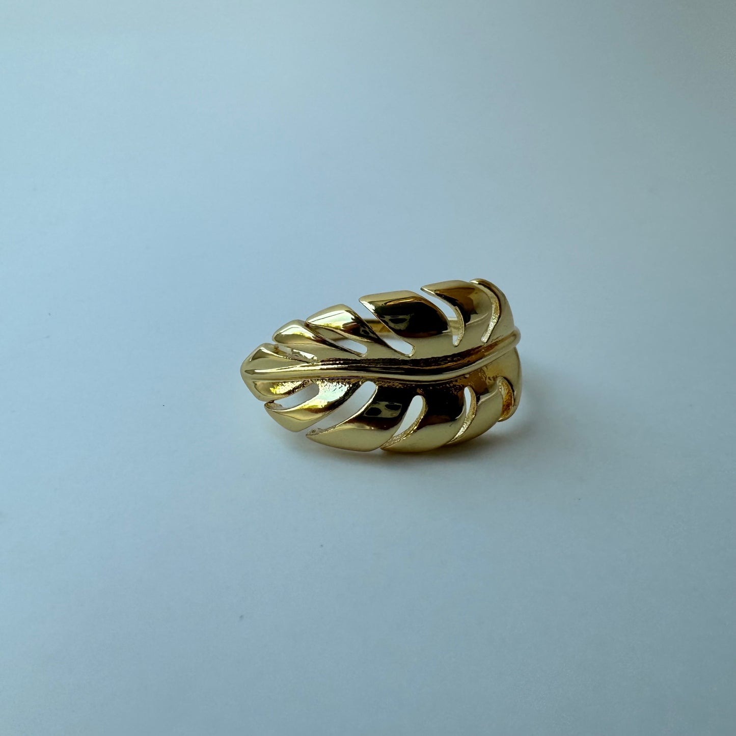 Palm Ring