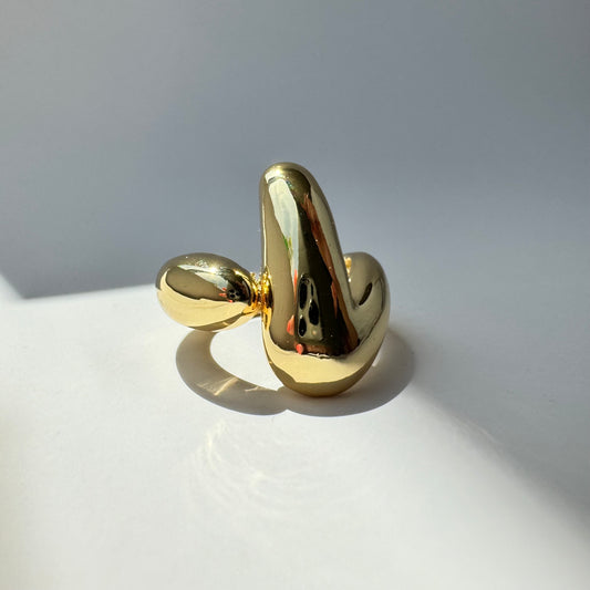 Roy Ring