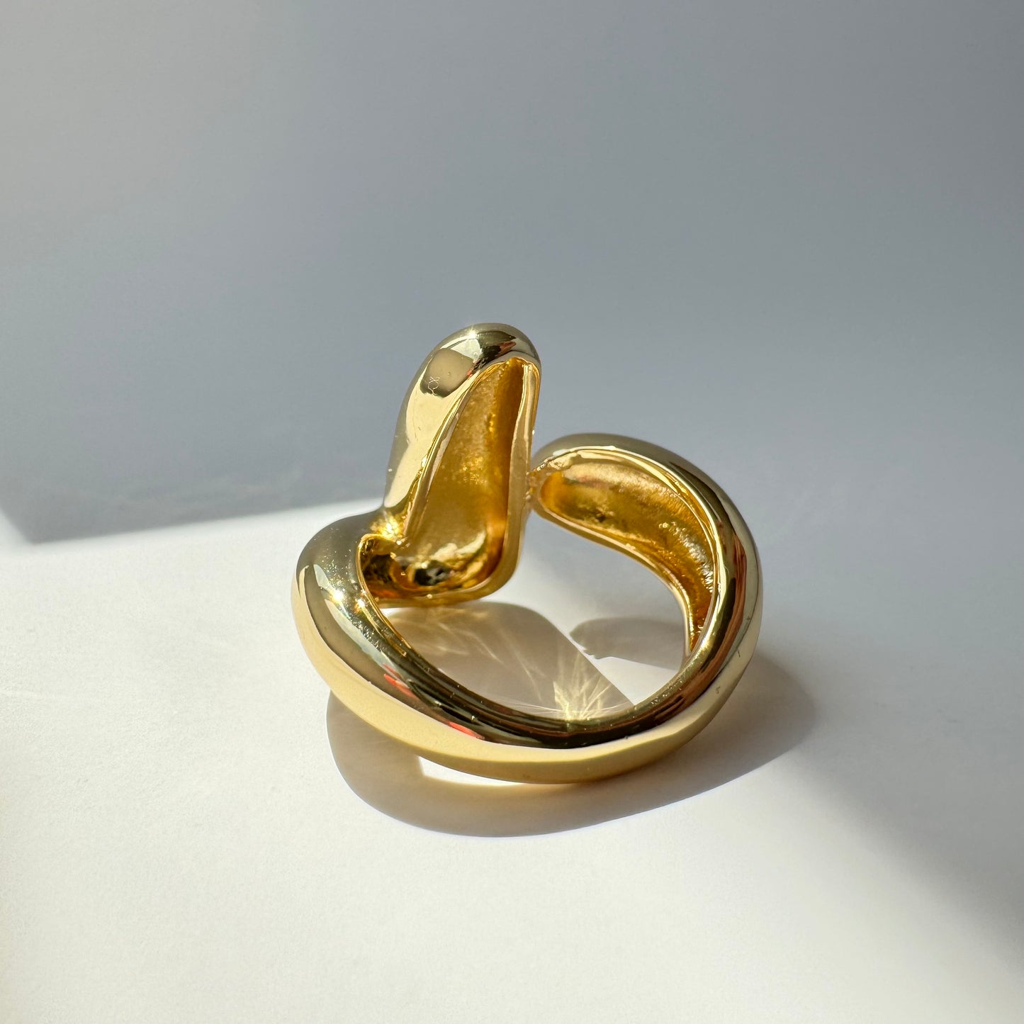 Roy Ring