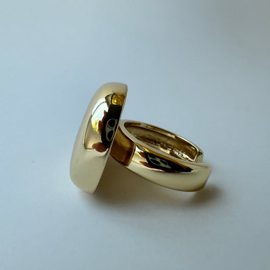 Eli Ring