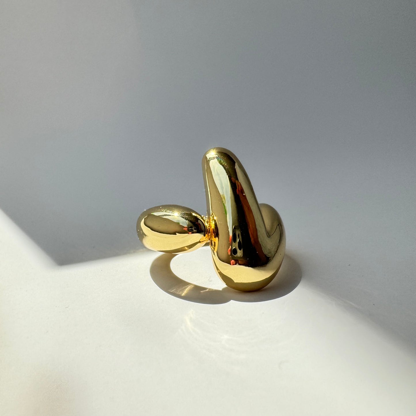 Roy Ring