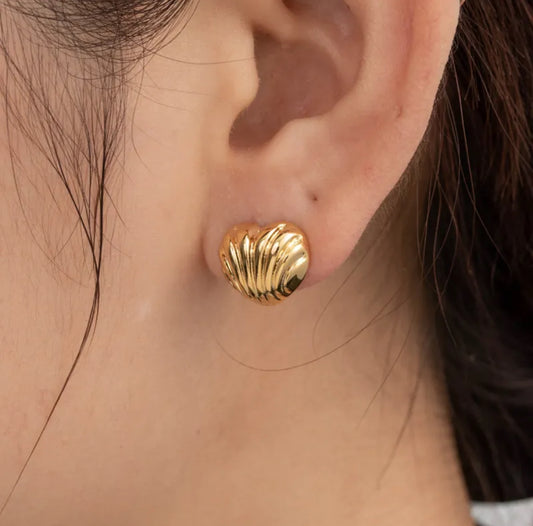 Shell Earrings
